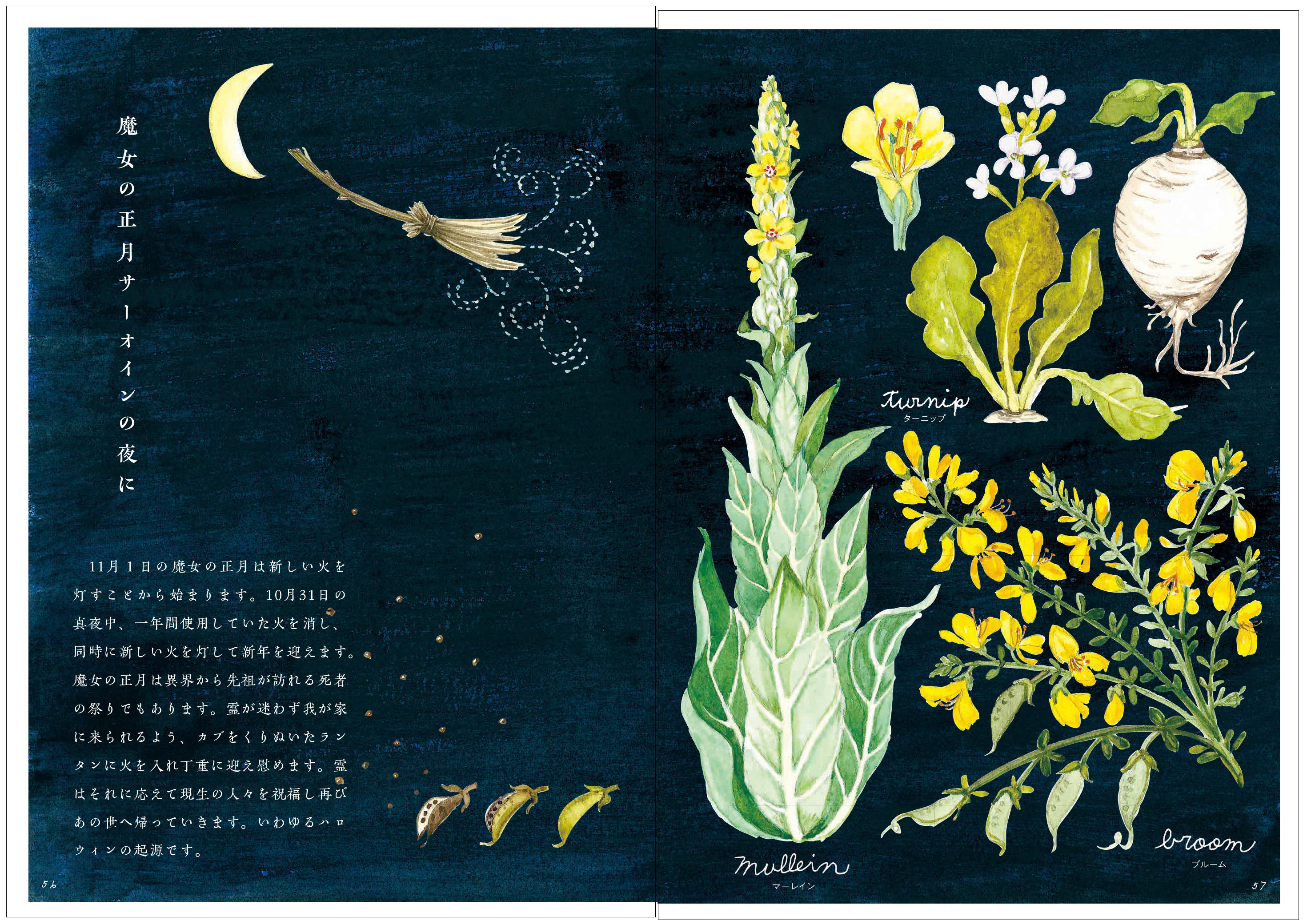 薬用植物図鑑　森武宗 薬用植物図鑑森武宗